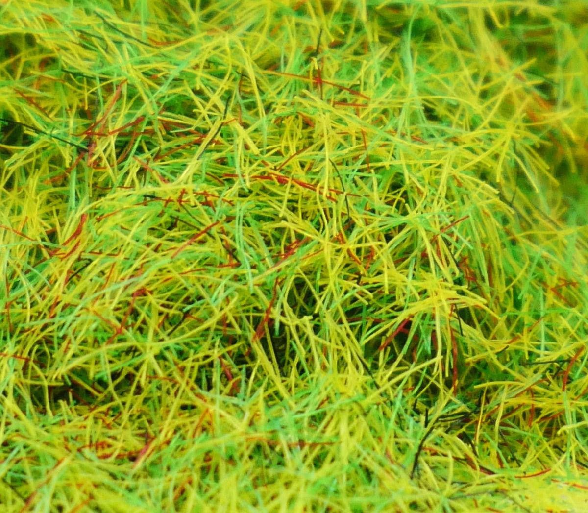 Gaugemaster GM171 Summer Meadow 2.5mm Static Grass 30g - Phillips Hobbies