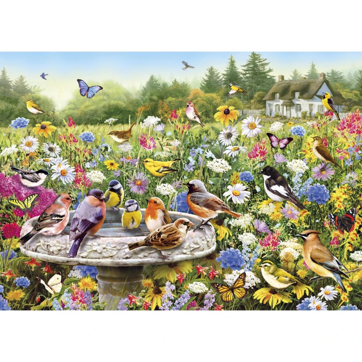 Gibsons The Secret Garden Jigsaw Puzzle (1000 Pieces)