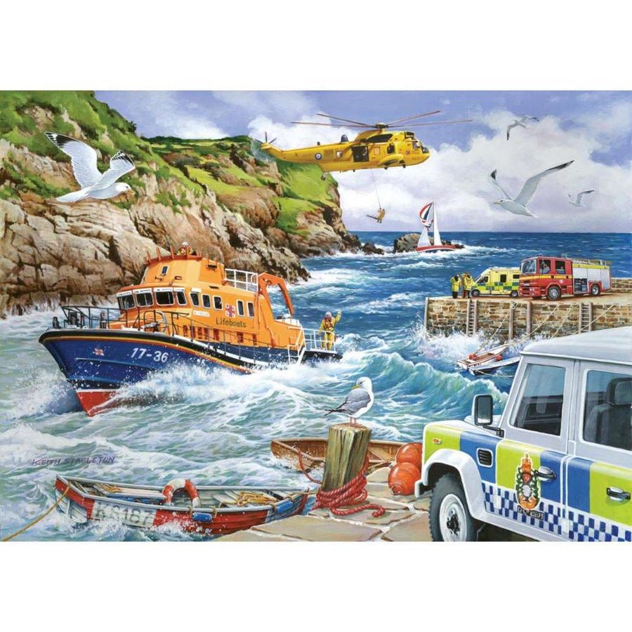 House of Puzzles Rescue - 1000 Piece Jigsaw Puzzle - Phillips Hobbies