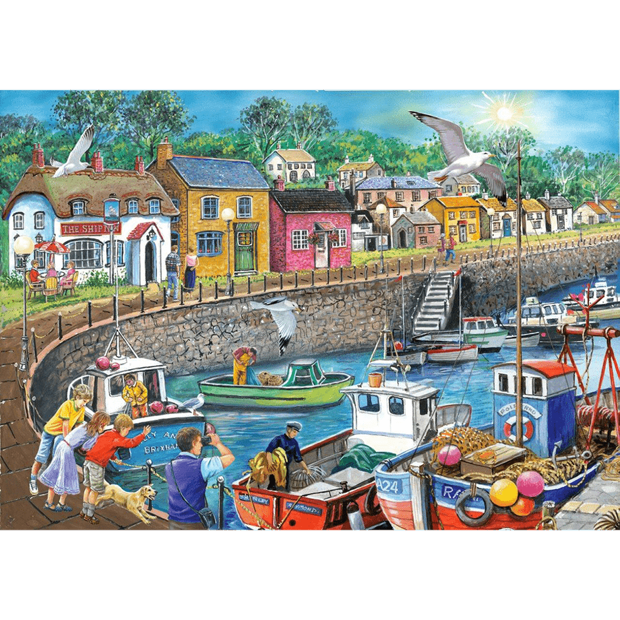 House of Puzzles Seagull View - BIG 250 Piece Jigsaw Puzzle - Phillips Hobbies