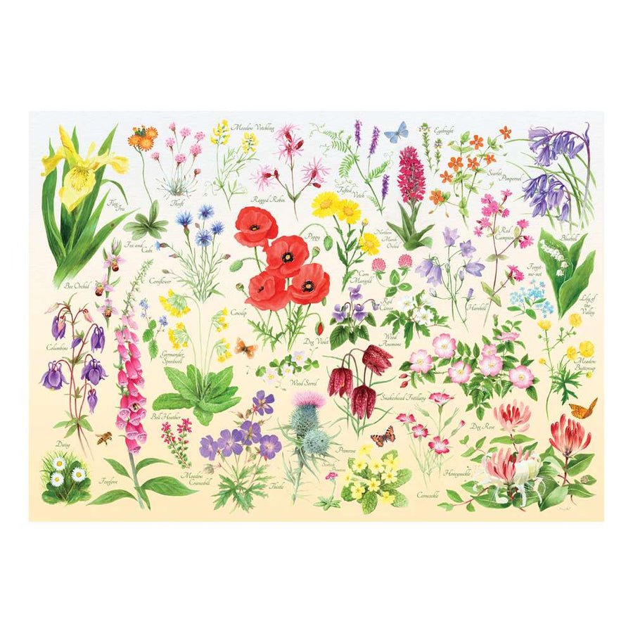 House of Puzzles Wildflowers - 1000 Piece Jigsaw Puzzle - Phillips Hobbies