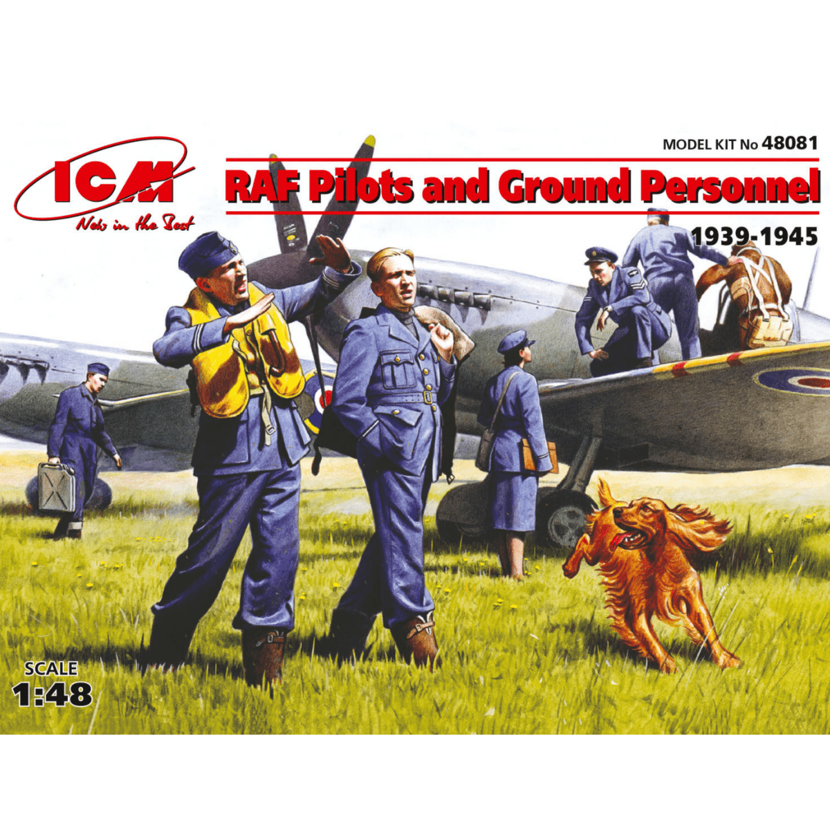 ICM RAF Pilots & Ground Personnel (1939 - 1945) 7 Figures Plastic Kit - 1:48 Scale - Phillips Hobbies