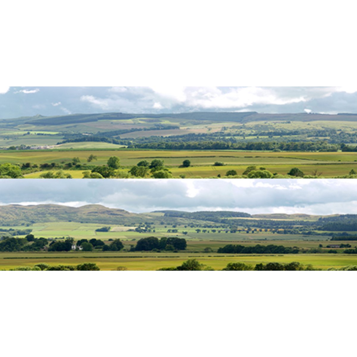 ID Backscenes P208B Premium 9" Hills and Dales Backscene (OO Gauge)