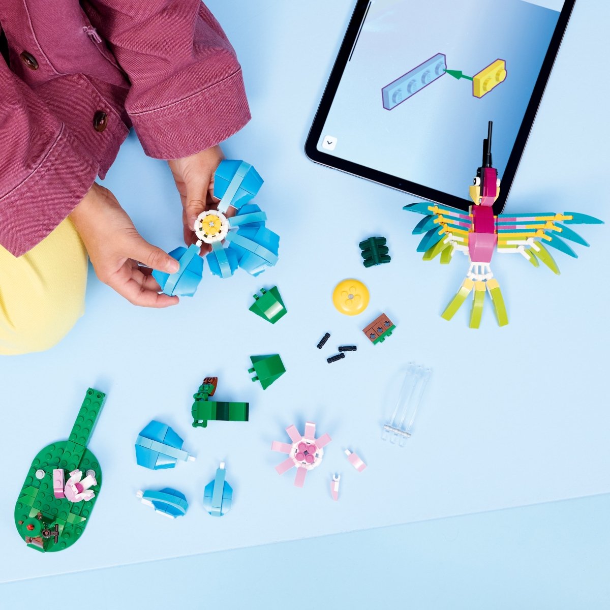 LEGO® Creator 3 in1 Wild Animals: Colourful Hummingbird Decor 31384 - Phillips Hobbies
