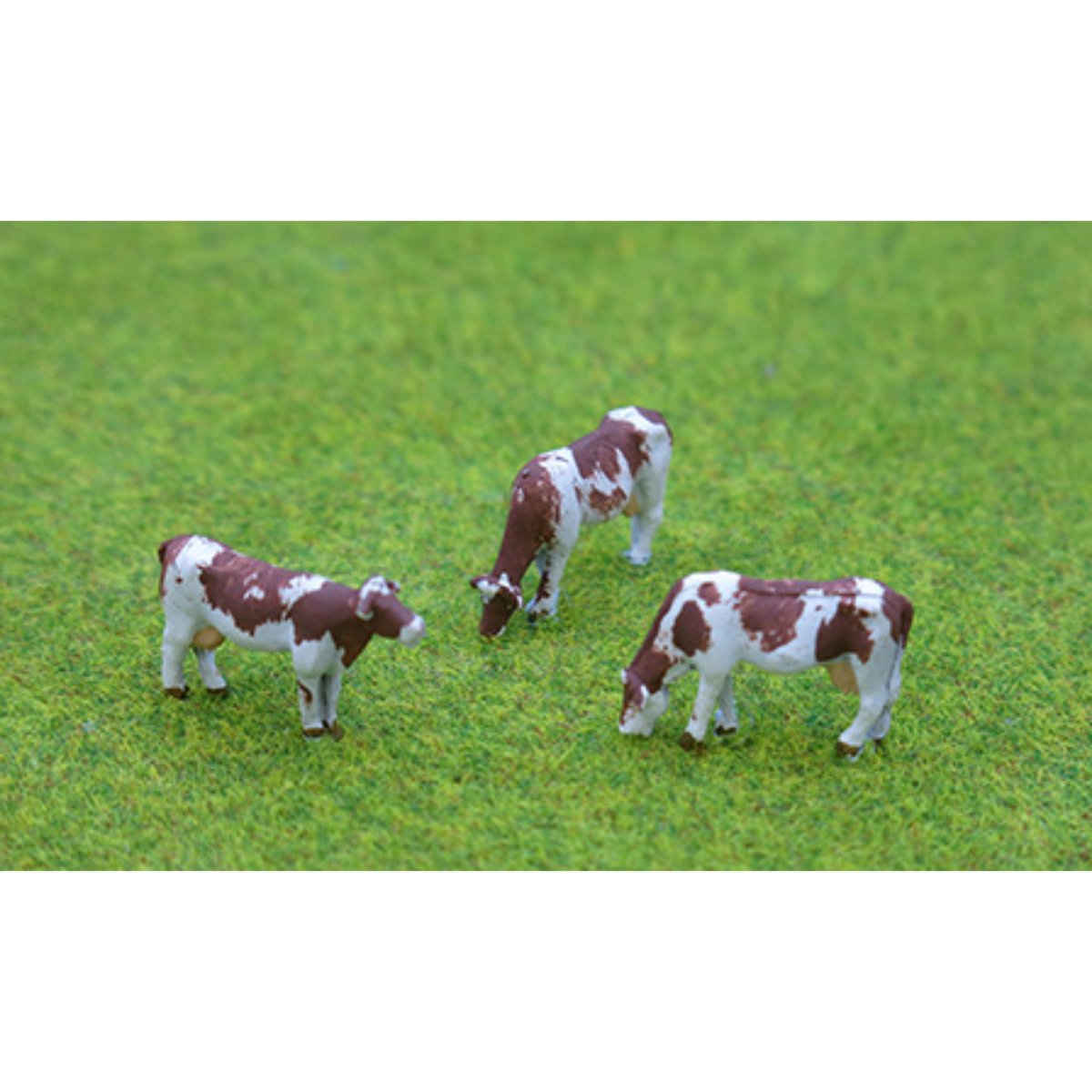 P&D Marsh PDZ48 3x Painted Cows (OO Gauge) - Phillips Hobbies