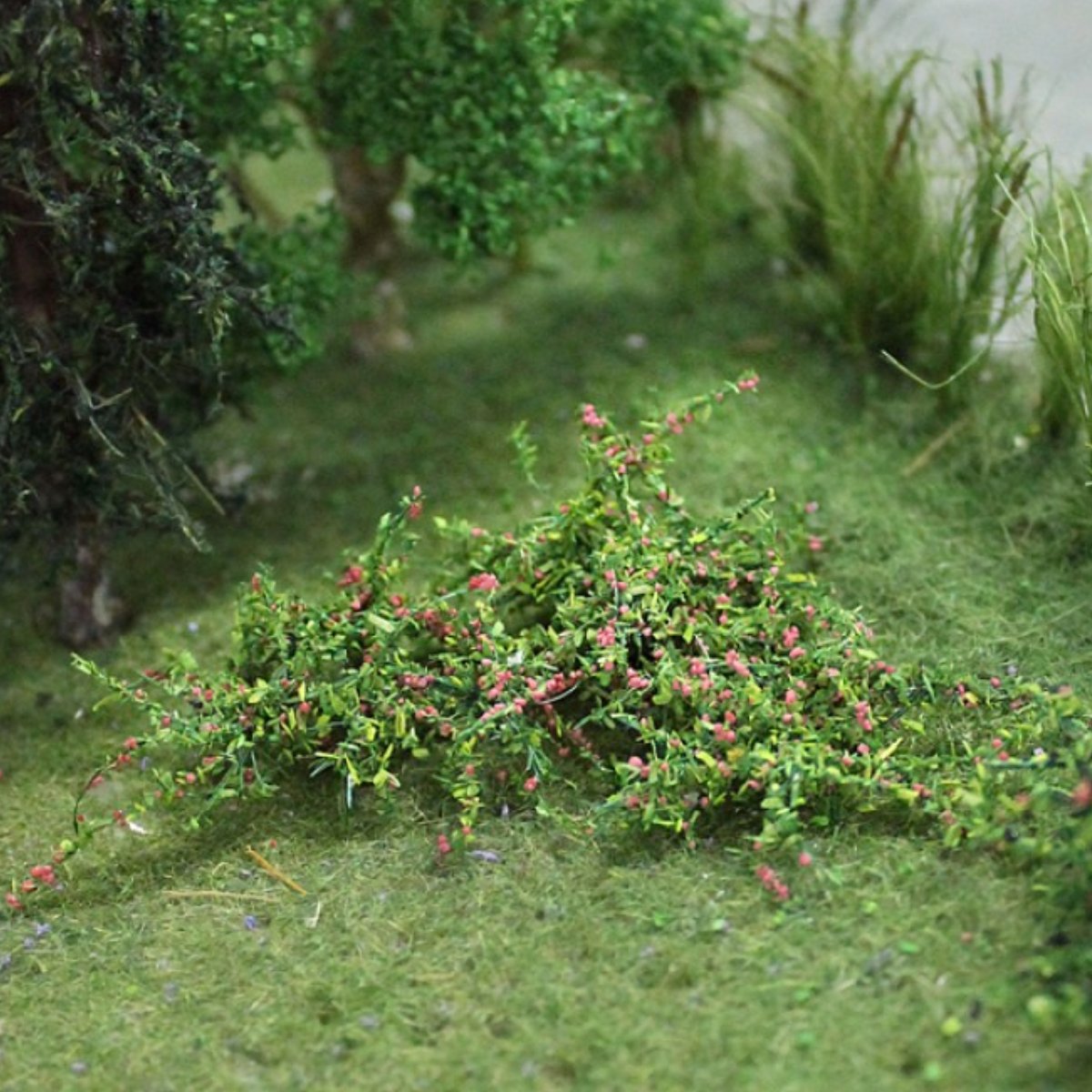 Tasma 00380 Raspberries (12 Pack) - OO Gauge - Phillips Hobbies