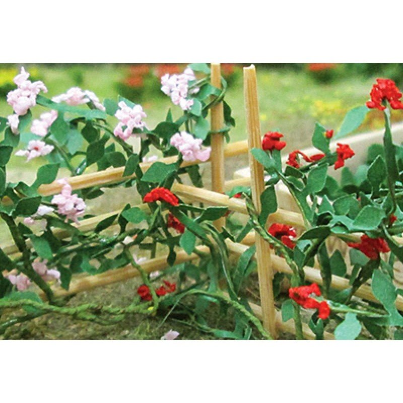 Tasma 00678 Climbing Roses (6 Pack) - OO Gauge - Phillips Hobbies