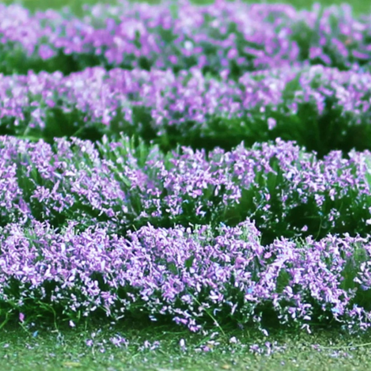 Tasma 00712 Lavender (125mm x 155mm Sheet) - OO Gauge - Phillips Hobbies