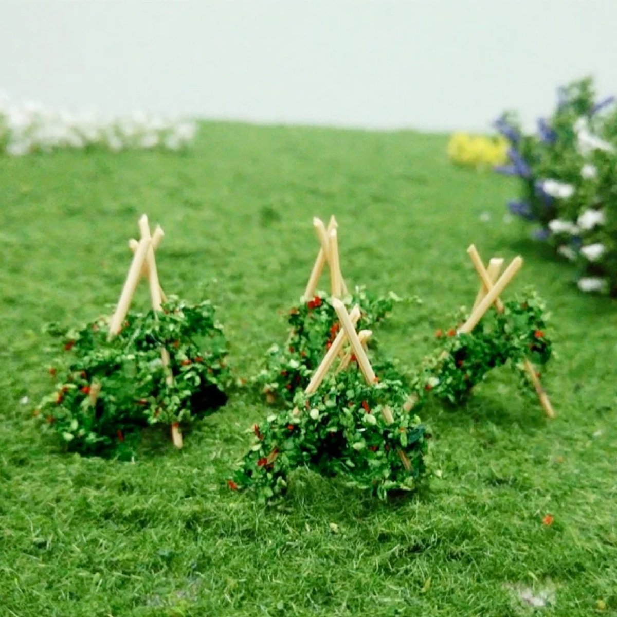 Tasma 00901 Runner Beans (20 Pack) - OO Gauge - Phillips Hobbies