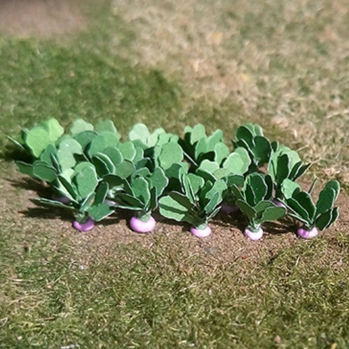 Tasma 00984 Turnips (14 Pack) - OO Gauge - Phillips Hobbies