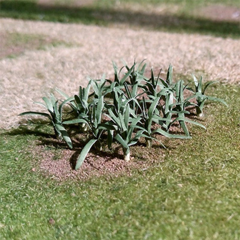 Tasma 00985 Leeks (12 Pack) - OO Gauge - Phillips Hobbies