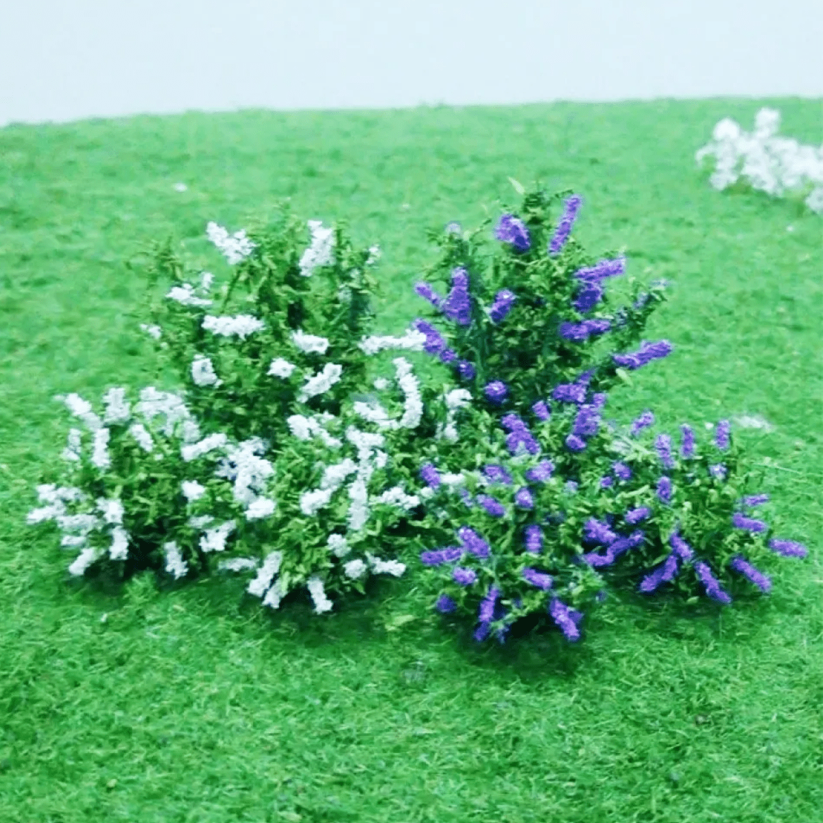 Tasma 01004 Buddleia (10 Pack) - N Gauge - Phillips Hobbies