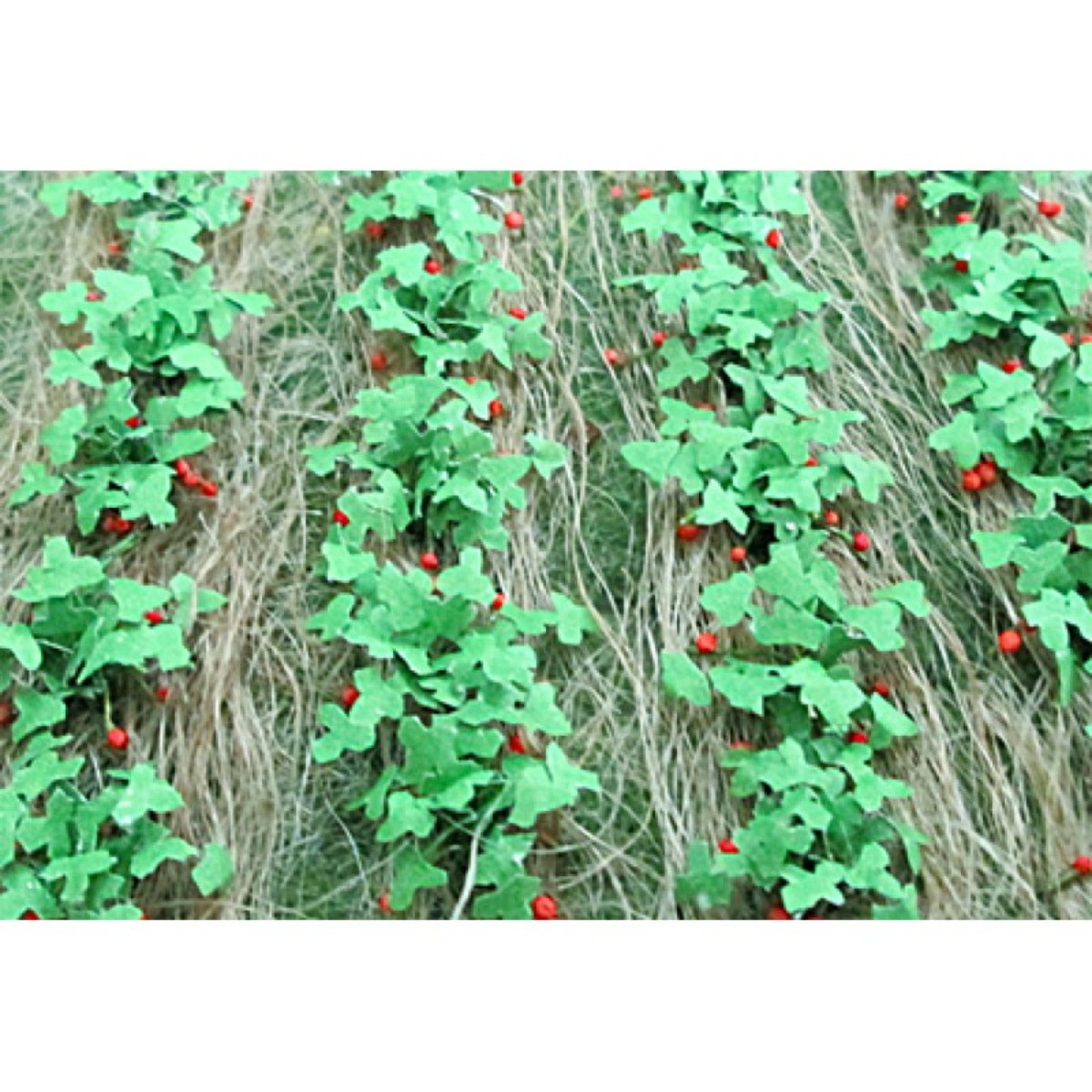 Tasma Strawberries (18 Pack) - OO Gauge - Phillips Hobbies