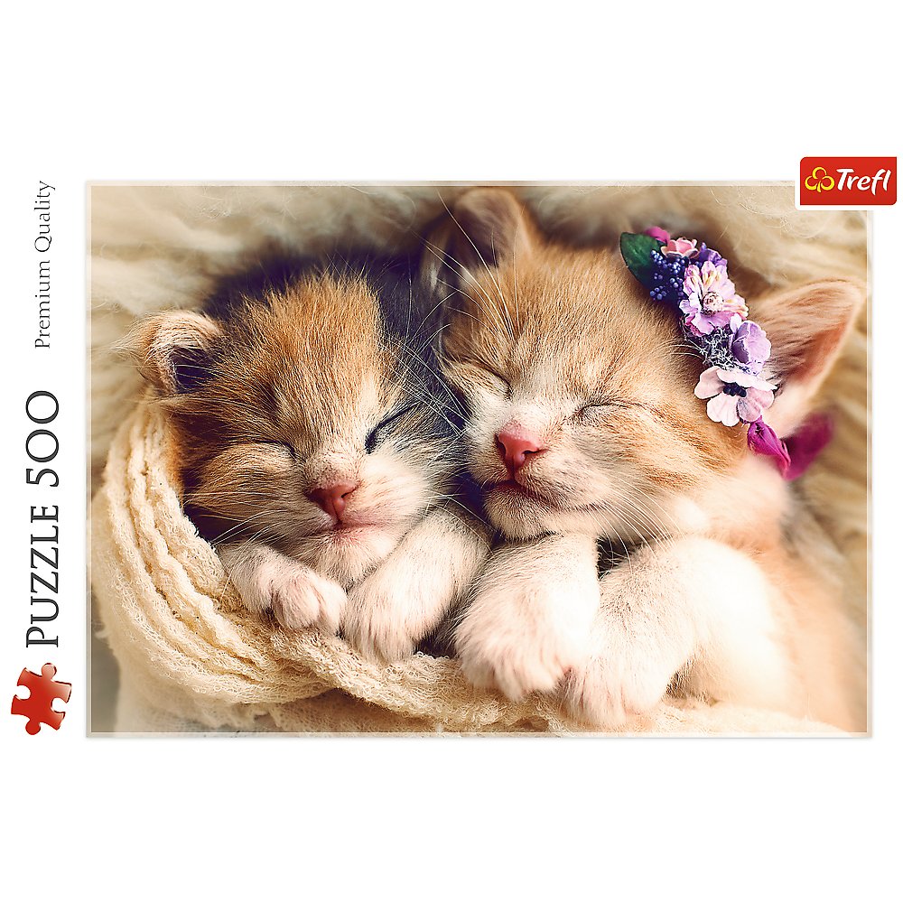 Trefl Sleeping Kittens Jigsaw Puzzle (500 Pieces) - Phillips Hobbies