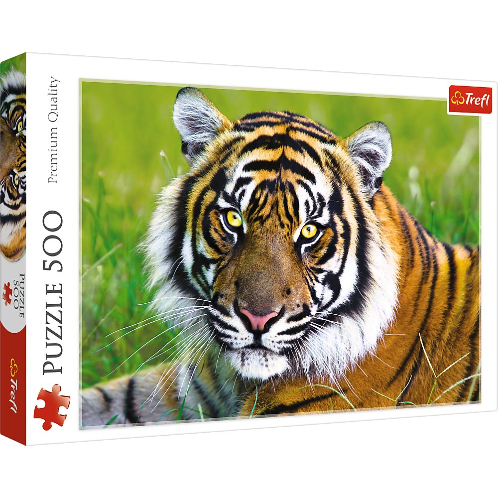 Trefl Tiger Jigsaw Puzzle (500 Pieces) - Phillips Hobbies