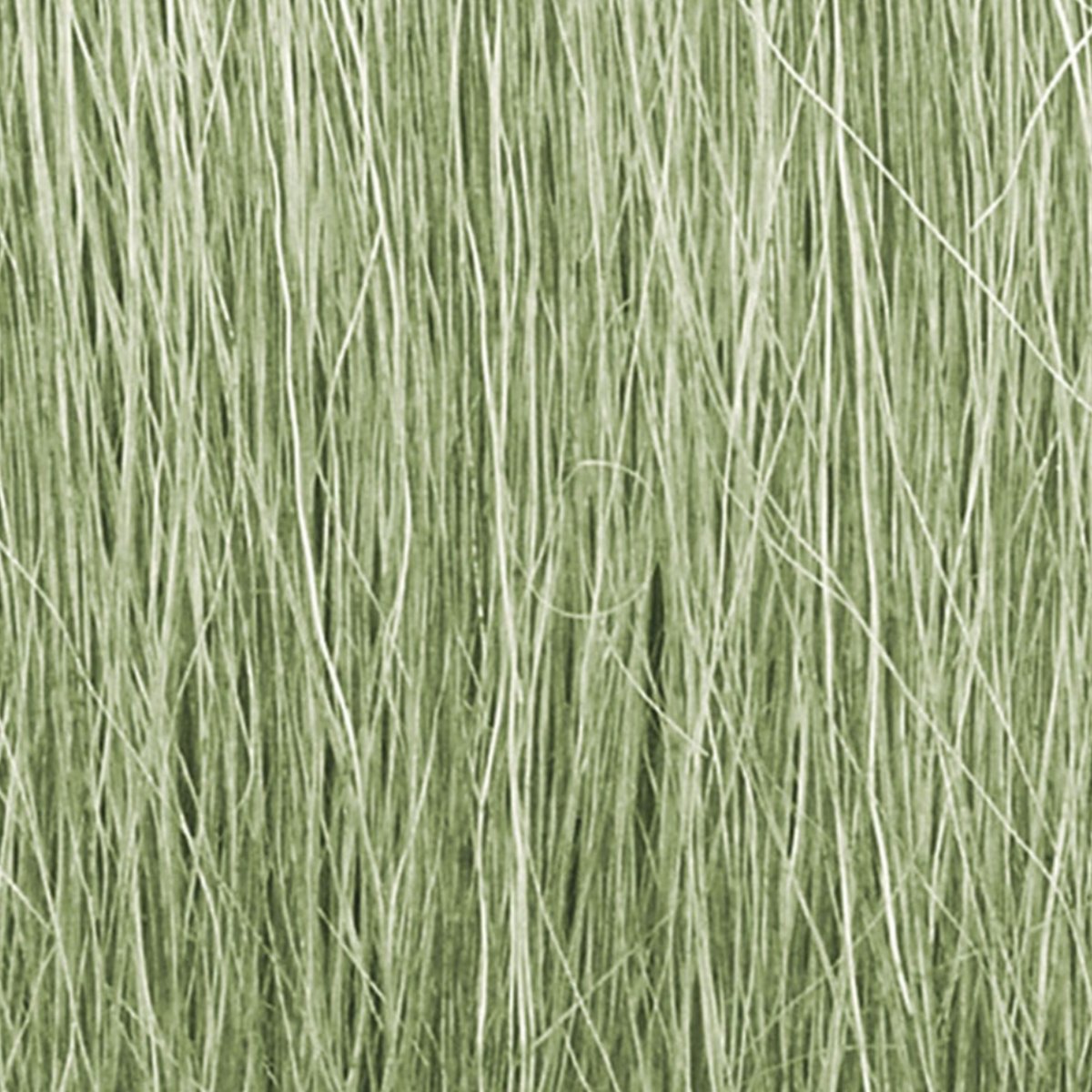 Woodland Scenics Light Green Field Grass - Phillips Hobbies
