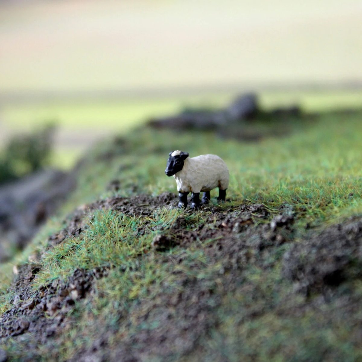 WWScenics Hand Sculpted Sheep Unpainted x20 - OO Gauge - Phillips Hobbies