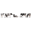 Bachmann Scenecraft 36 - 081 Cows - OO Gauge - Phillips Hobbies