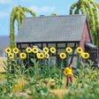 Busch 1261 Giant Sunflowers Kit - HO / OO Gauge - Phillips Hobbies