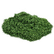 Gaugemaster GM158 Dark Green Leaves 50g - Phillips Hobbies