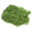 Gaugemaster GM1711 Mid Green Leaves 50g Bag (GM157) - Phillips Hobbies