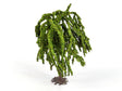 Gaugemaster GM1843 Weeping Willow Premium Tree 110mm - OO Gauge - Phillips Hobbies