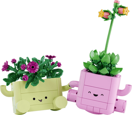 LEGO Botanicals 11506 Rocking Plants - Phillips Hobbies
