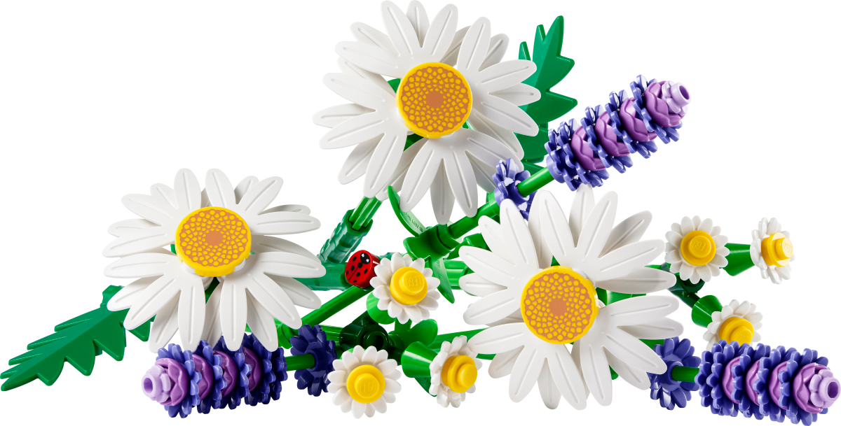 LEGO® Botanicals Daisies Flower Decor 11508 - Phillips Hobbies