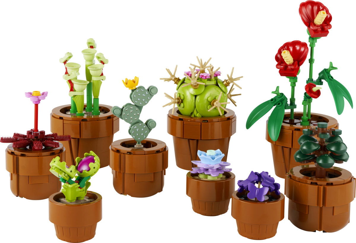 LEGO® Botanicals Tiny Plants Building Set for Adults 10329 - Phillips Hobbies