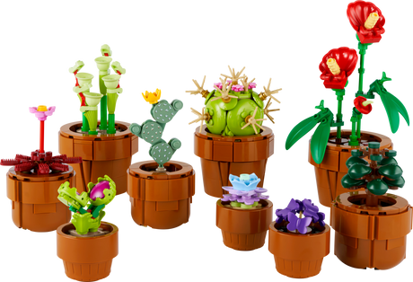 LEGO® Botanicals Tiny Plants Building Set for Adults 10329 - Phillips Hobbies