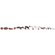 Noch Birds (12) and Nests (3) Figure Set - OO/HO Gauge - Phillips Hobbies
