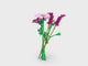 LEGO® Botanicals Cosmos Flowers Building Set 11514