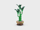LEGO® Botanicals Lucky Bamboo Plant Decor 10344