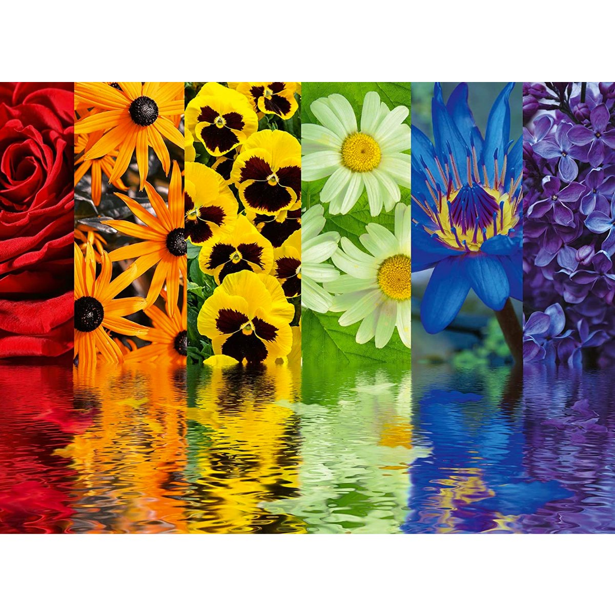 Ravensburger Floral Reflections 500 Piece Jigsaw Puzzle - Phillips Hobbies