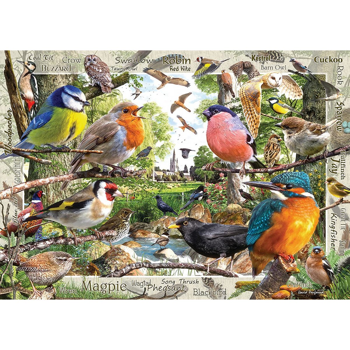 Ravensburger Our Feathered Friends Jigsaw Puzzle (1000 Pieces) - Phillips Hobbies