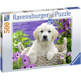 Ravensburger Sweet Golden Retriever Jigsaw Puzzle (500 Pieces) - Phillips Hobbies