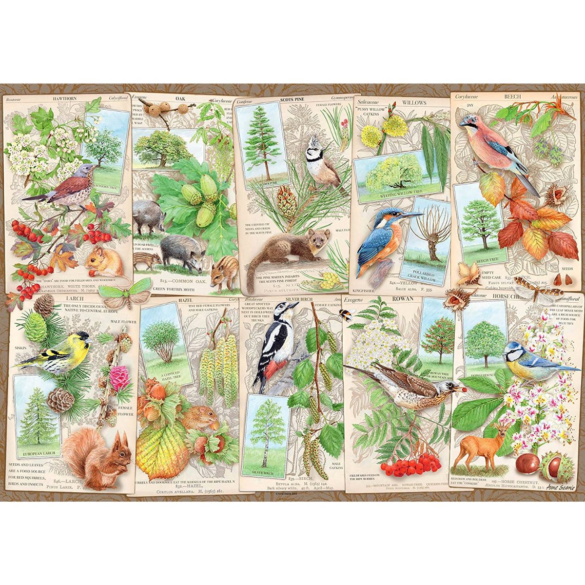 Ravensburger Wondrous Trees Jigsaw Puzzle (1000 Pieces) - Phillips Hobbies