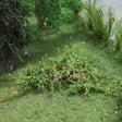 Tasma 00380 Raspberries (12 Pack) - OO Gauge - Phillips Hobbies