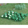 Tasma 00684 Broccoli & Cauliflowers (18 Pack) - OO Gauge - Phillips Hobbies