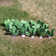 Tasma 00984 Turnips (14 Pack) - OO Gauge - Phillips Hobbies