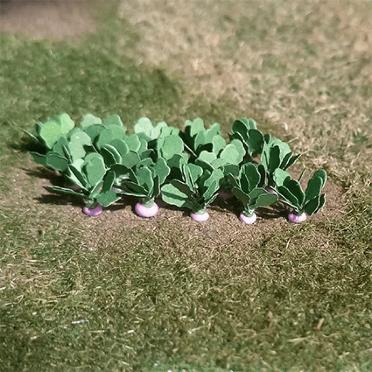 Tasma 01005 Turnips (14 Pack) - N Gauge - Phillips Hobbies