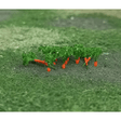 Tasma 01039 Carrots (16 Pack) - N Gauge - Phillips Hobbies