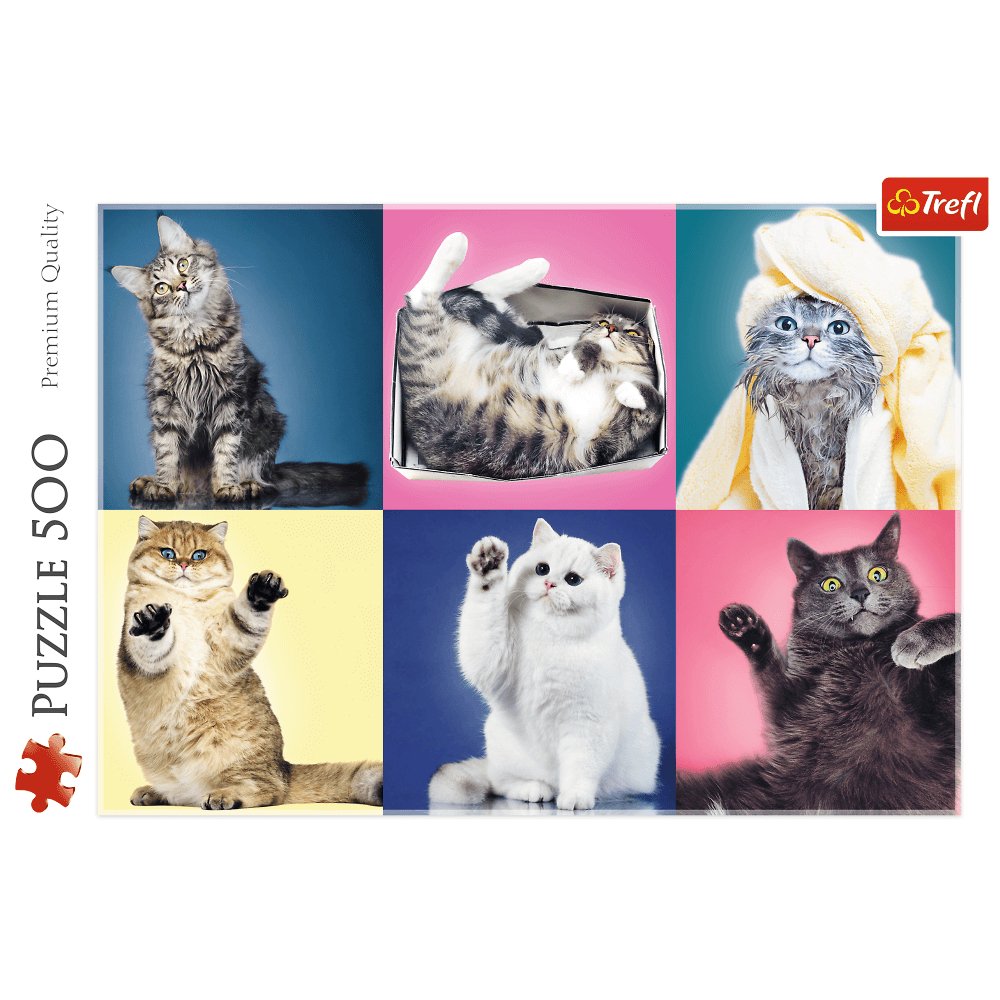 Trefl Kittens Jigsaw Puzzle (500 Pieces) - Phillips Hobbies