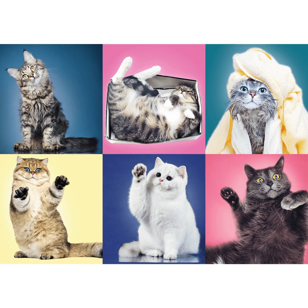 Trefl Kittens Jigsaw Puzzle (500 Pieces) - Phillips Hobbies
