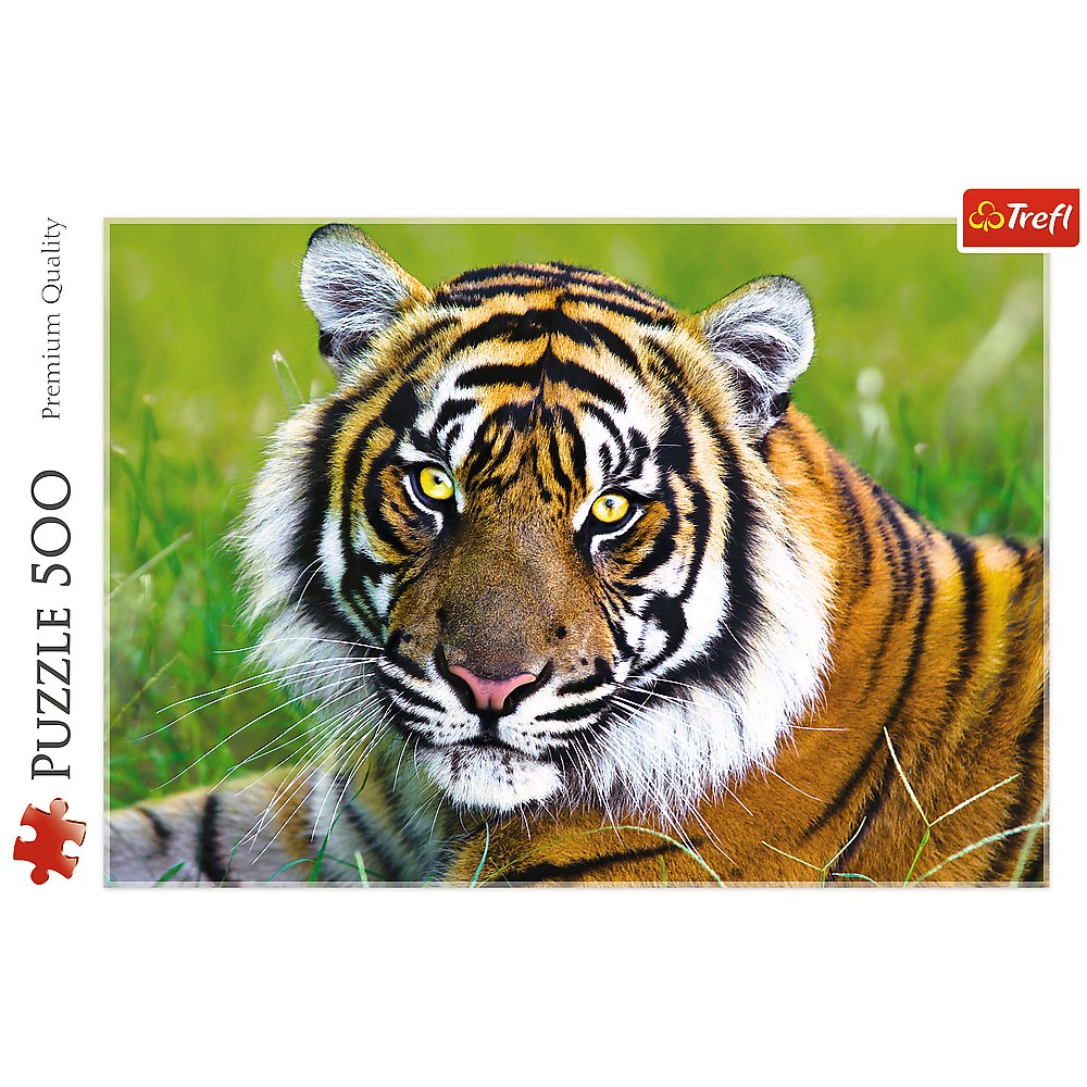 Trefl Tiger Jigsaw Puzzle (500 Pieces) - Phillips Hobbies