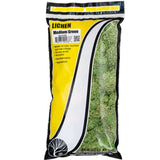 Woodland Scenics Medium Green Lichen - Phillips Hobbies
