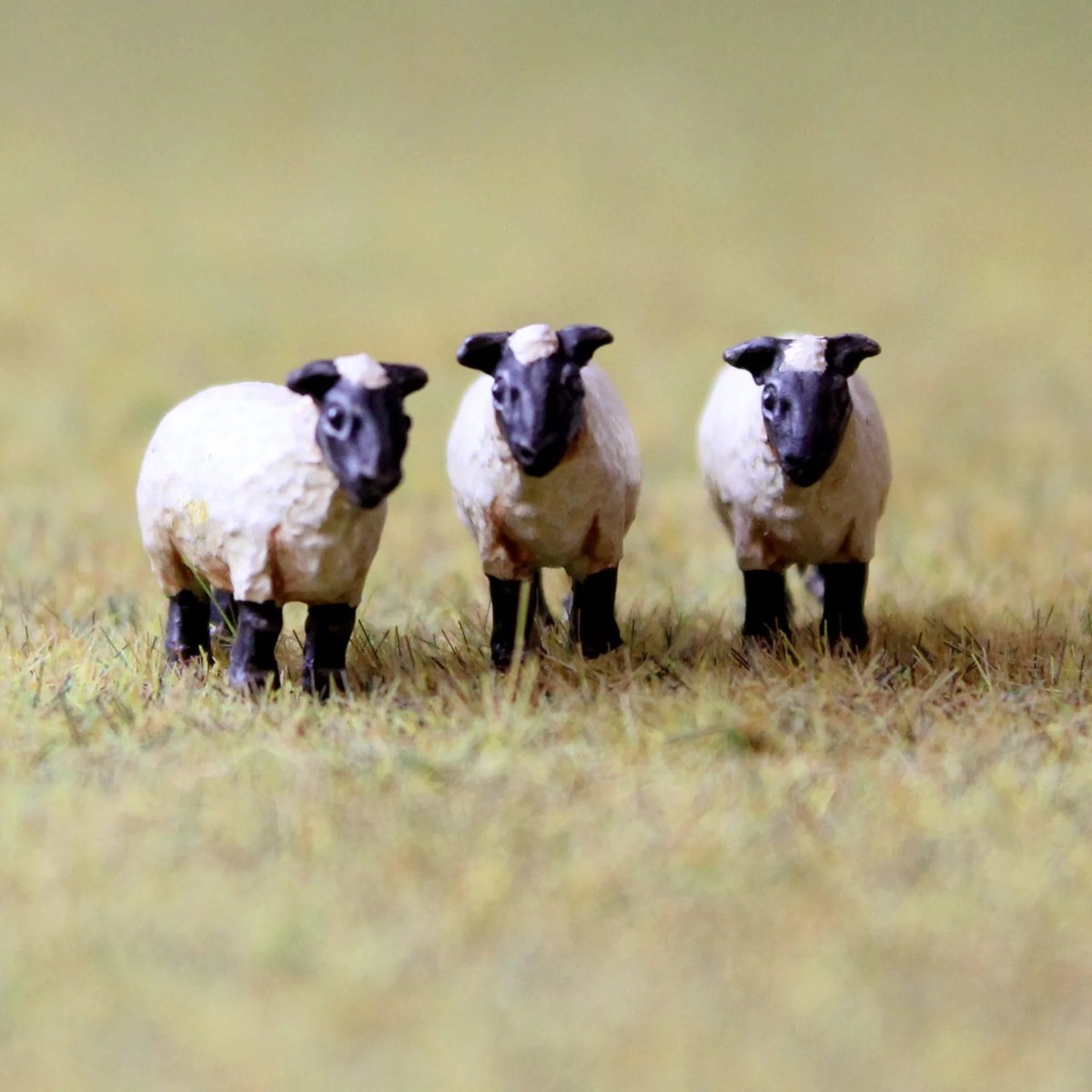 WWScenics Hand Sculpted Sheep Unpainted x20 - OO Gauge - Phillips Hobbies